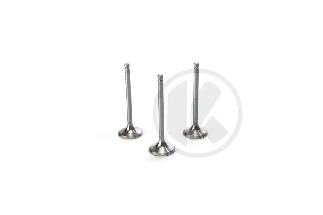 a1320530001   intake valve